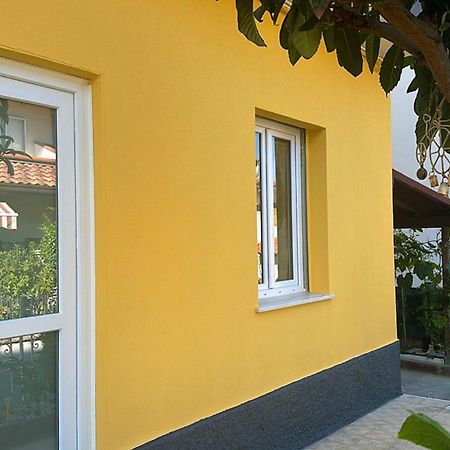 Orte Holiday - Inaugurazione Agosto 2024 Riccione Exterior foto